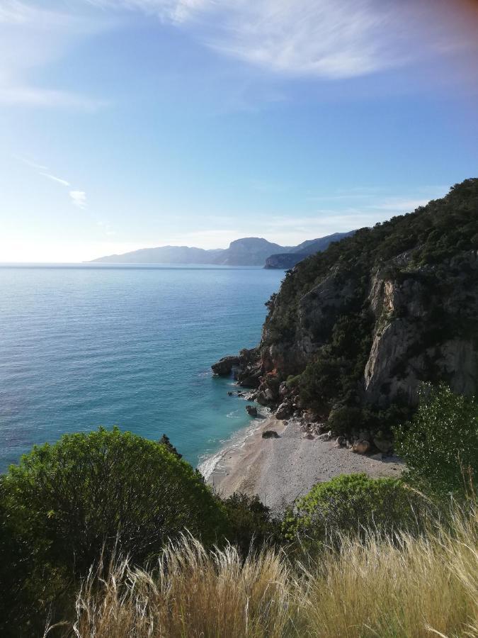 Appartamento Meduse Cala Gonone Rom bilde