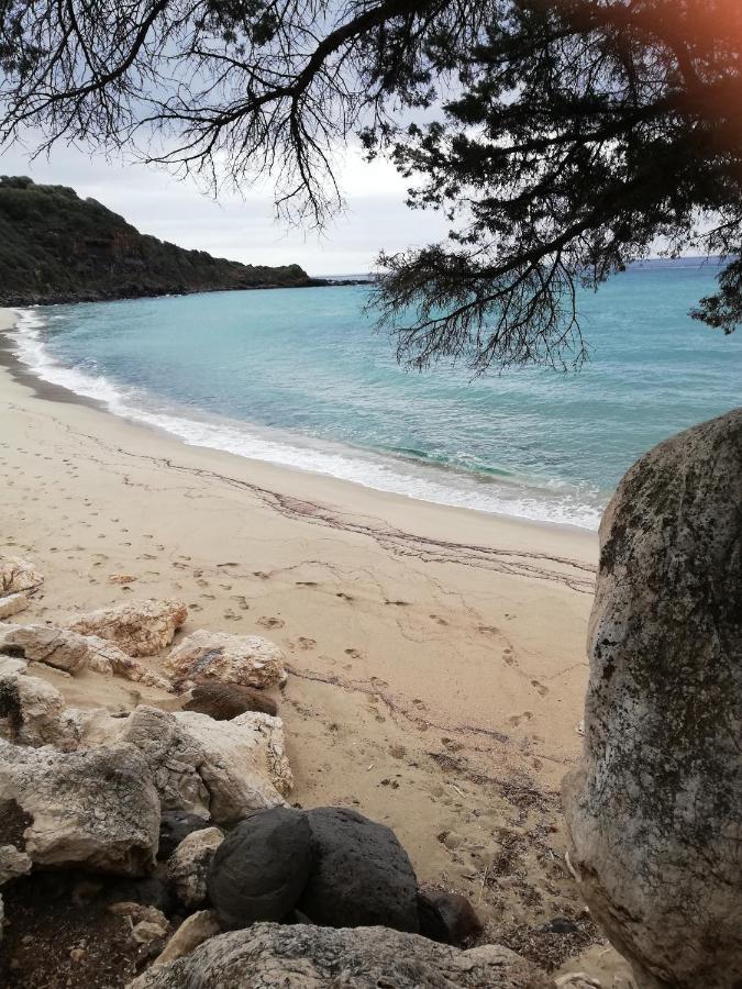 Appartamento Meduse Cala Gonone Rom bilde